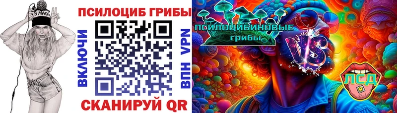 Псилоцибиновые грибы Psilocybine cubensis  Купить где  Раменское 